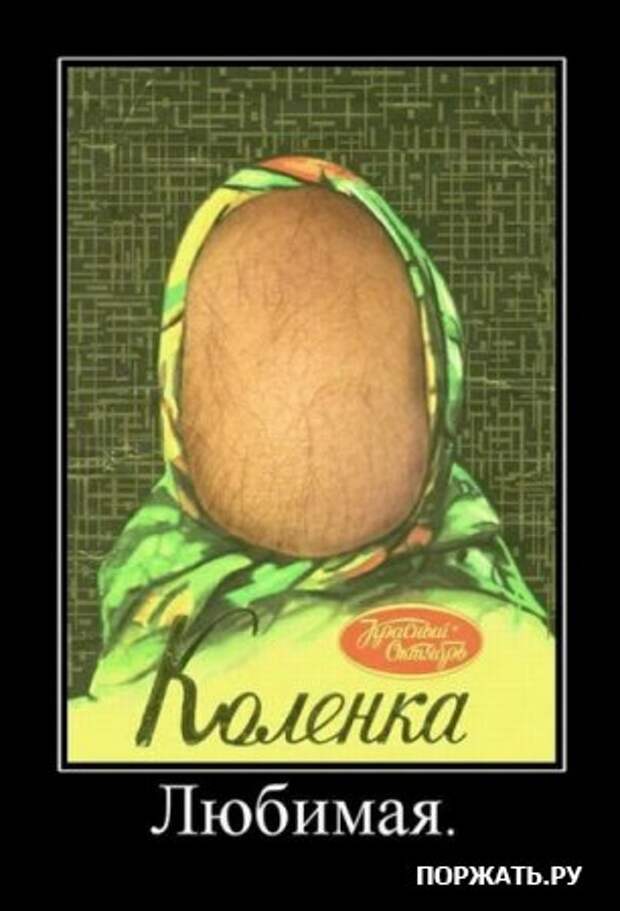 Демотиваторы, юмористические надписи.