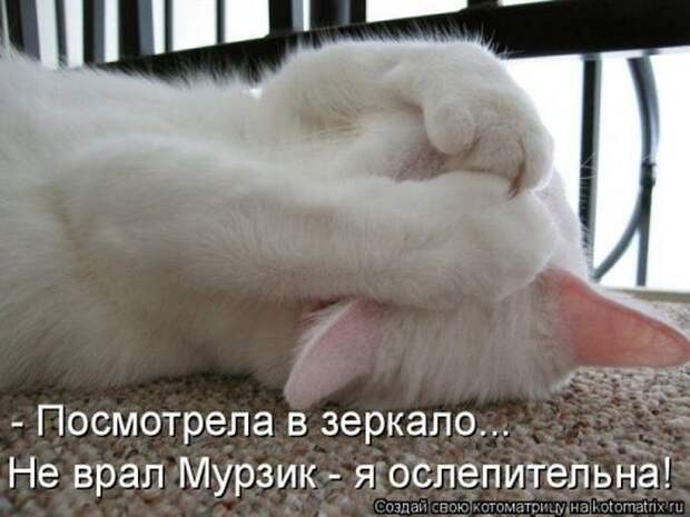 Мысли вслух :)