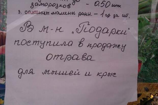 20 беспощадных маразмов