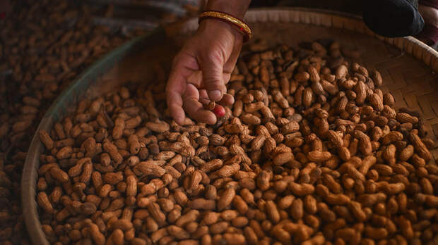 Врач Болибок назвал орехи, которые чаще приводят к аллергическим реакциям