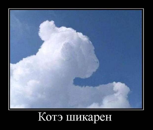 Демотиваторы (59 фото) Демотиваторы (59 фото)