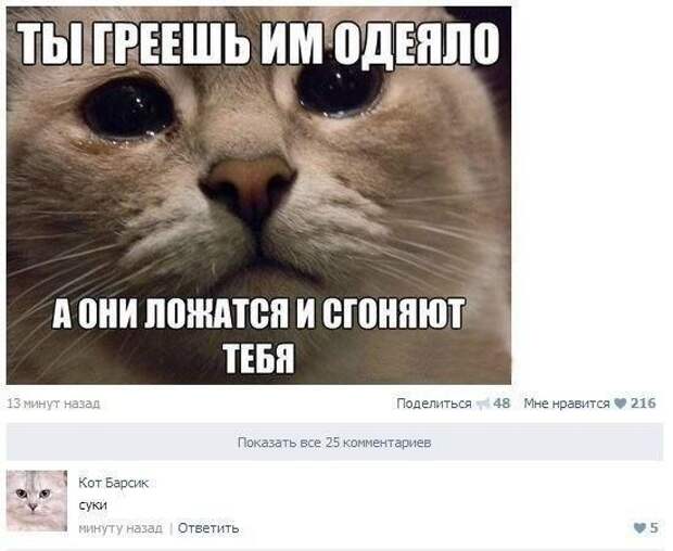 Всякости всякости, картинки, юмор