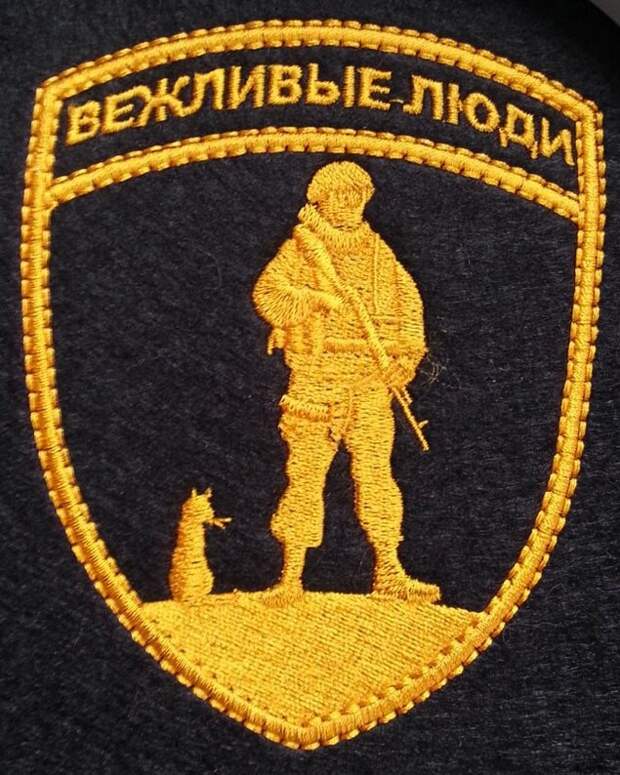 10 самых влиятельных котов России влиятельные, живут, коты