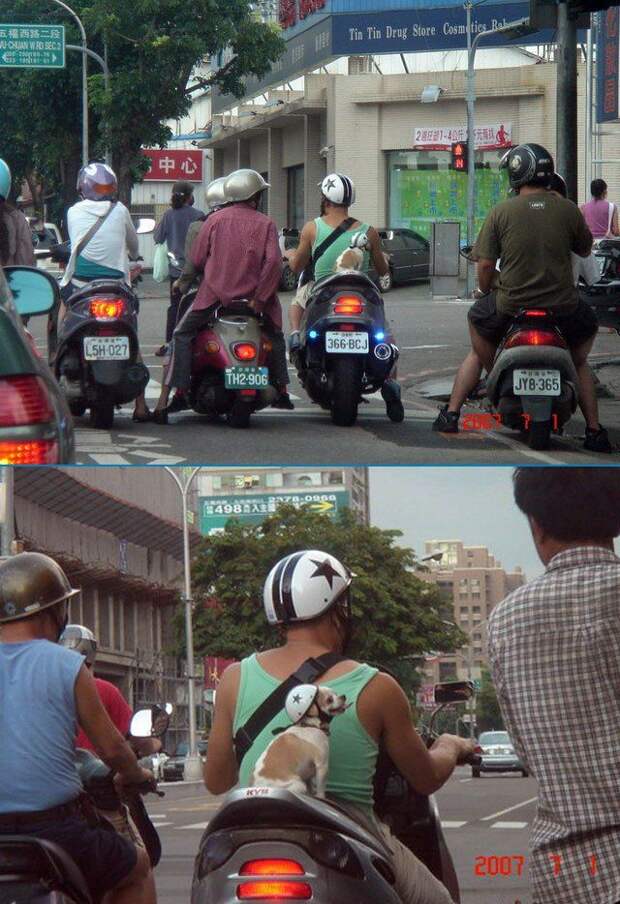 Приколы на дороге  People Are Awesome, fun