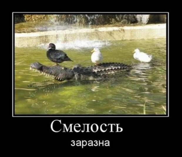 Демотиваторов весело, много, и самые прикольные!
