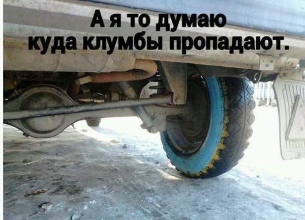 Новые автоприколы. Водительские приколы