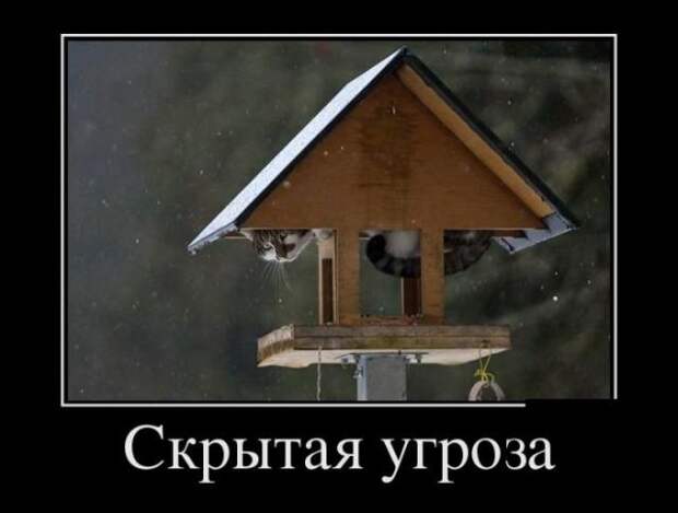 Демотиваторы (13.01.16)