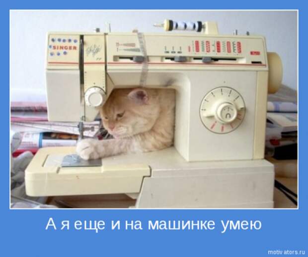 Мотиваторы картинки с текстом.
