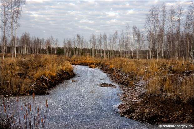 Замерзшие дренажные каналы болот Мещёры