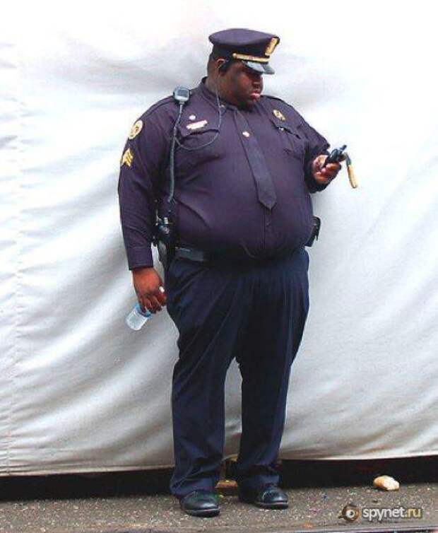 Толстые полицейские (25 фото)
