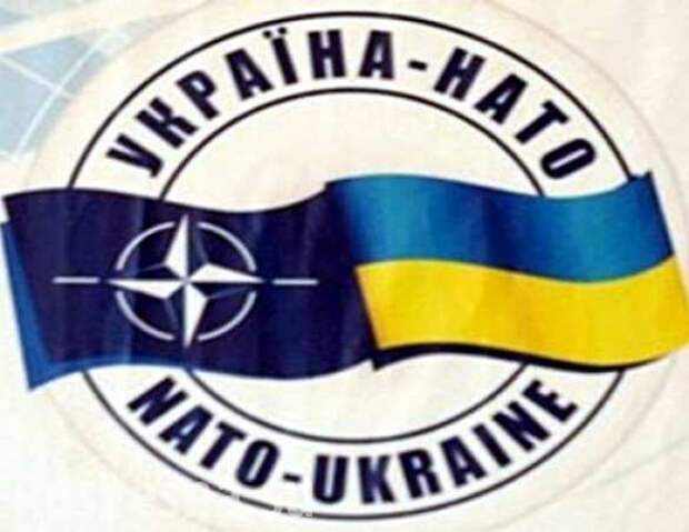 НАТО пора отказаться от притязаний на Украину