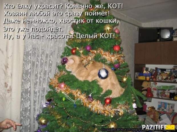 1326053366_kotomatrix_46 (640x480, 195Kb)