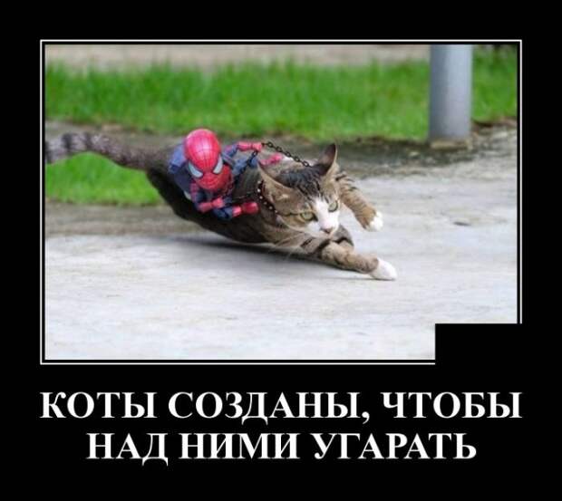 Демотиваторы (30 фото)