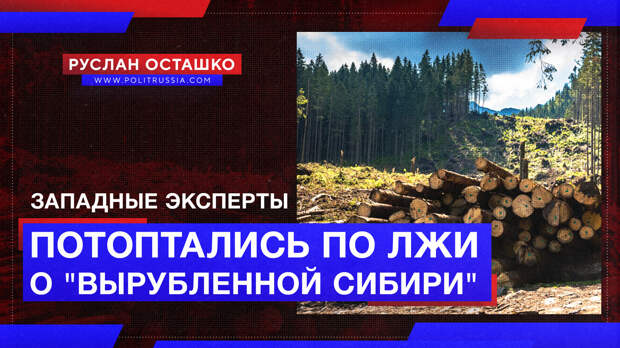 Западные эксперты потоптались по лжи о «вырубленной Сибири»