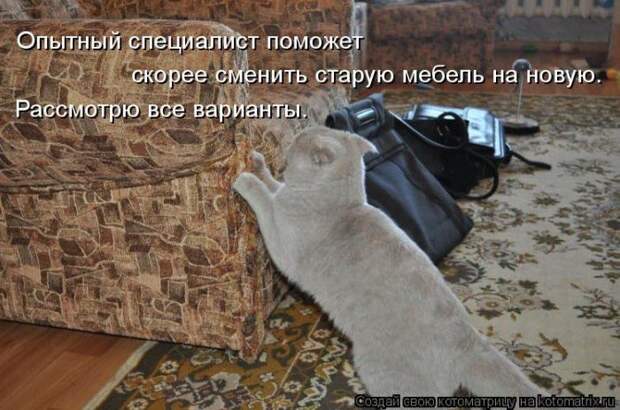 Мысли вслух :)