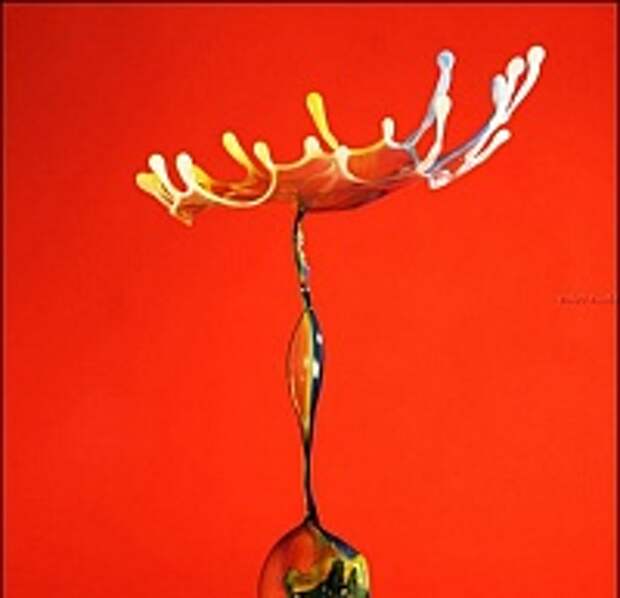 Прикольчики 709