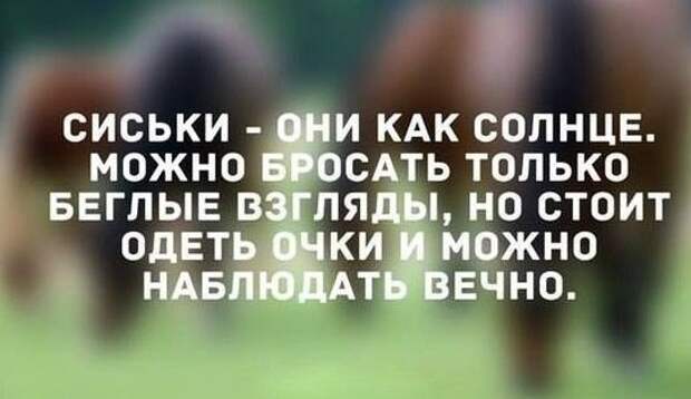 Смешные картинки с подписями картинки, прикол, юмор