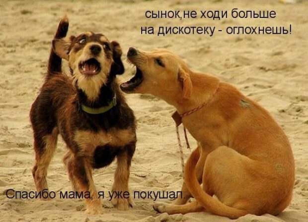 Кото матрица 7