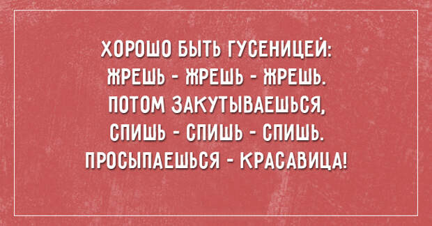 саркастичные открытки о жизни