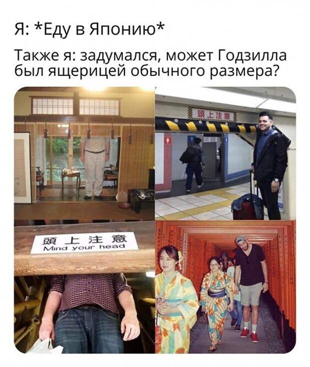 Прикольные и смешные картинки