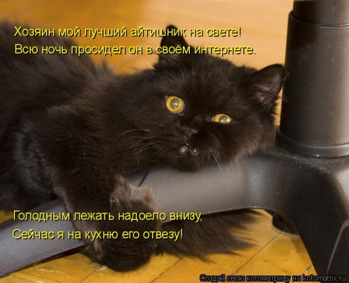 Еженедельная котоматрица (26 фото)