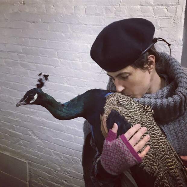 Но быстро поняла, что там ему будет плохо, и снова забрала птицу к себе авиапроисшествия, аэропорт, домашний питомец, забавный случай, и такое бывает, надо же какие, павлин, птица