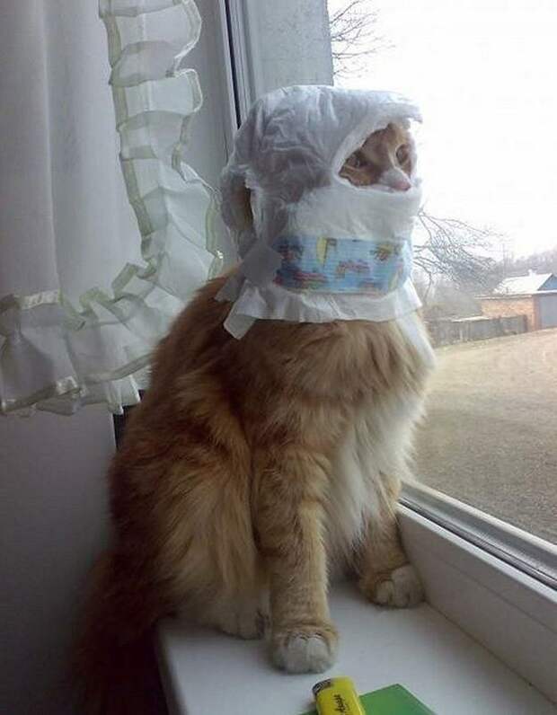 ДЕТКИ НА ДАЧЕ,)) ЮМОР С КАРТИНКАМИ ,))