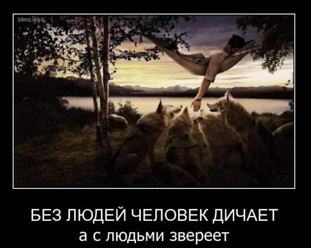 Демотиваторы Демотиваторы