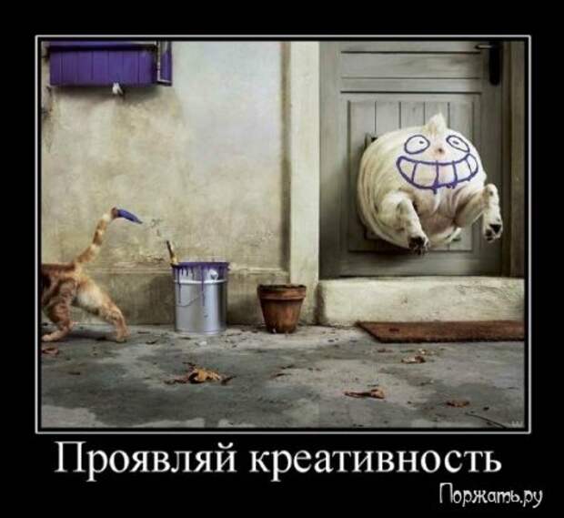 Демочки, полно прикольных.
