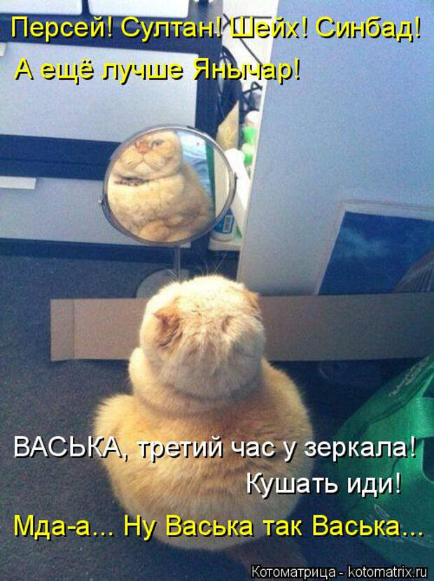 kotomatritsa_os (500x670, 331Kb)