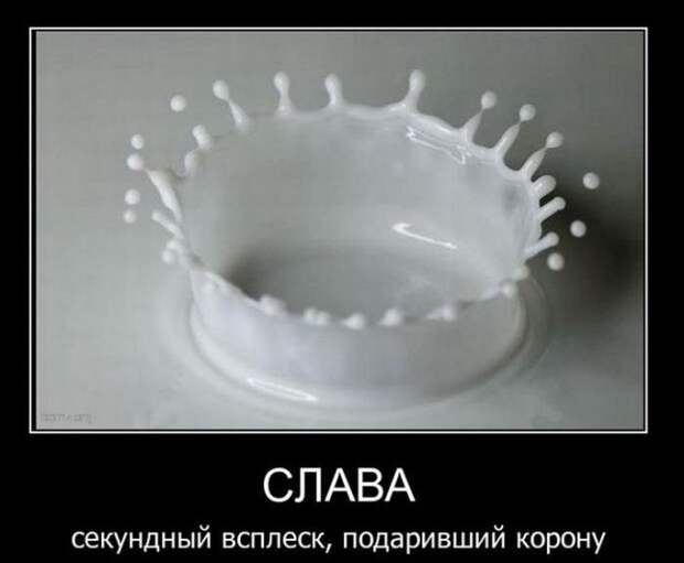 12 демотиваторов дня от 6 августа