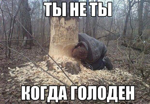 Смешные картинки картинки, прикол, юмор