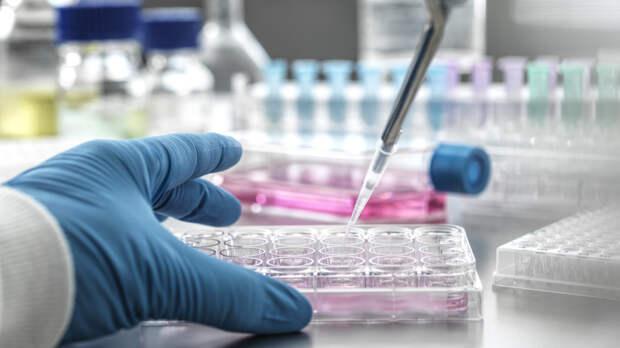 Россия представит первый в мире препарат для лечения болезни Бехтерева