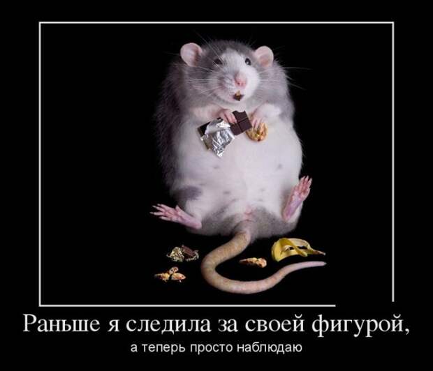 Демотиваторы демотиваторы, прикол, смех, юмор