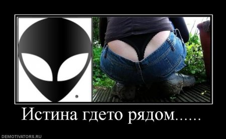 Разные смешные демотиваторы, новые приколы на фото.