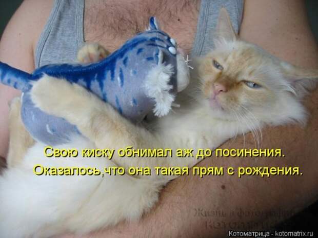 Котоматрицы