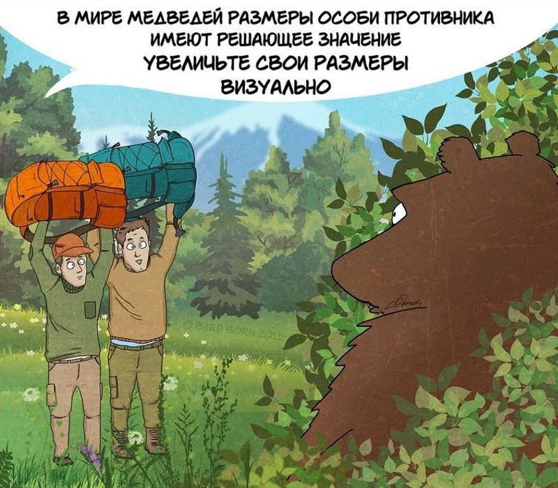 Московский художник нарисовал комикс о правилах поведения с медведями