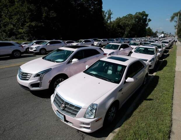 Сотни розовых Кадиллаков проводили в последний путь певицу Арету Франклин Aretha Franklin, cadillac, авто, автомобили, звезды, знаменитость, певица, похороны