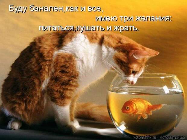 Мысли вслух :)