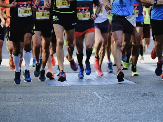 В Хабаровске стартовал спортивно-благотворительный фестиваль "Зеленый марафон"