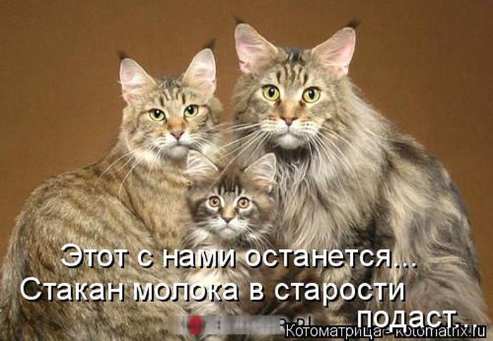 1433454510_23 (700x484, 261Kb)