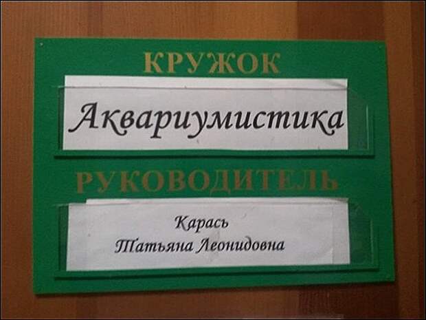 r2_fototelegraf.ru_familii-4_5d1e1b4f r2_fototelegraf.ru_familii-4_5d1e1b4f