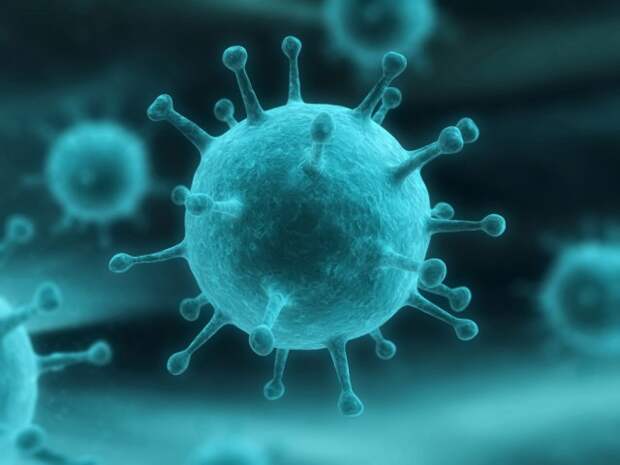 Опыт переболевшего свиным гриппом - H1N1/09 грипп, история, факты