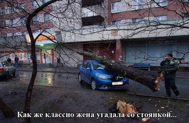 Подборка автоприколов. Часть 214 Подборка автоприколов. Часть 214 авто, автоприколы, приколы