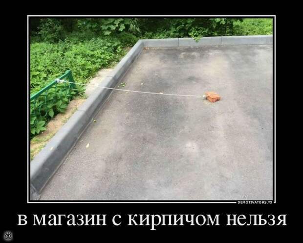 Не доверяй никому! 20