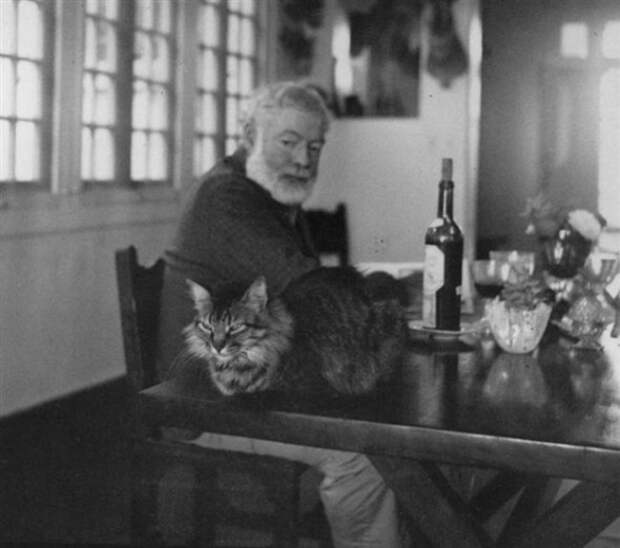 https://i2.wp.com/thegreatcat.org/wp-content/uploads/2014/12/ernest-hemingway.jpg?resize=590%2C522&ssl=1