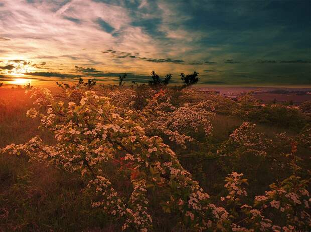 Фото жизнь - mondtag3106 - Пейзажи - На закате