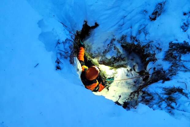 Эксперт Тайга описал возможный сценарий гибели Усольцевых, которых снова ищут