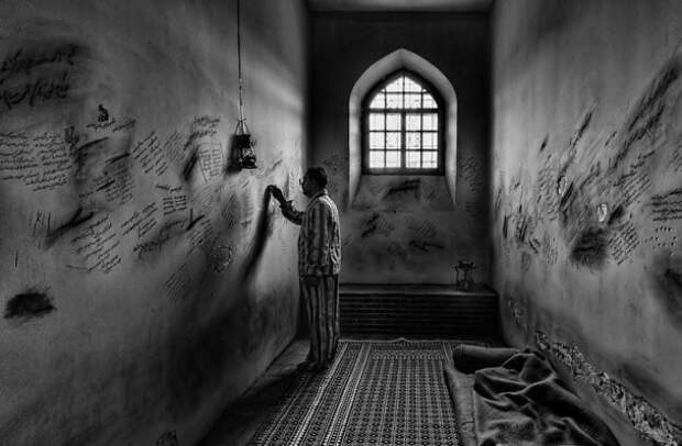 Лучшие фото года со всей планеты история, факты, фото