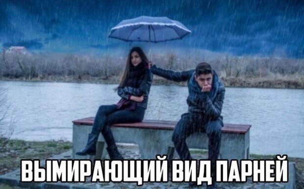 Всякости всякости, картинки, юмор